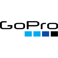 Best Drone Companies - gopro